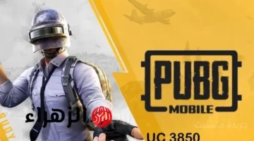 41500 شدة مجانًا.. عرض جديد لشحن شدات ببجي والحصول على طقم النمر النادر 1